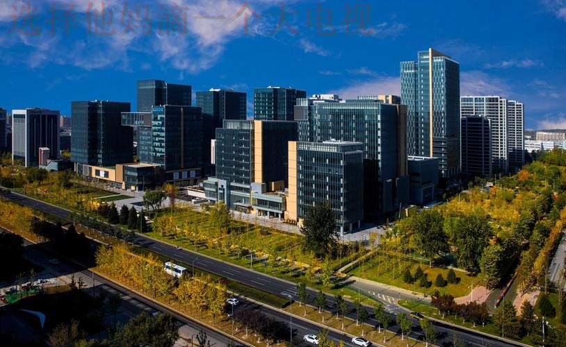 壹号国际科技控股集团发展解析 壹号国际科技控股集团发展解析